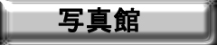 写真集